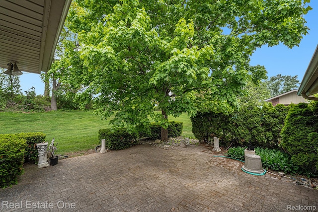 3079 Ravinewood Dr, Commerce Twp, MI 48382 - view of patio
