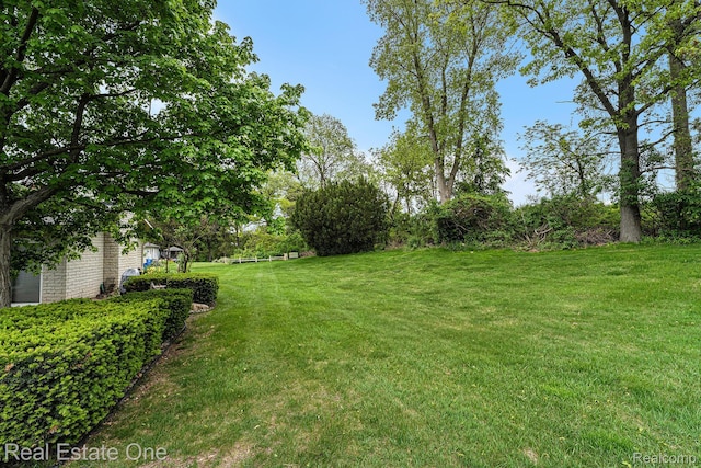 3079 Ravinewood Dr, Commerce Twp, MI 48382 - view of grassy yard