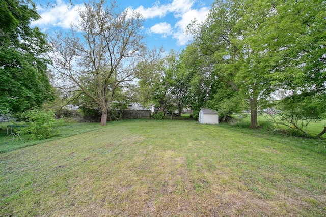 5732 Selfridge Blvd, Lansing, MI 48911 - view of yard with a storage shed and an outbuilding