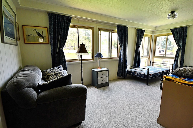 9609 E Madison Rd, Saint Helen, MI 48656 - living area with carpet and wooden walls
