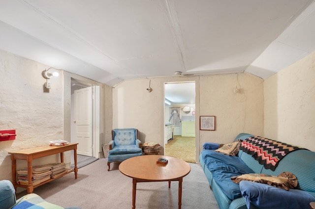 155 N Cook Ave, Harrison, MI 48625 - living room with vaulted ceiling, light colored carpet, and a textured wall