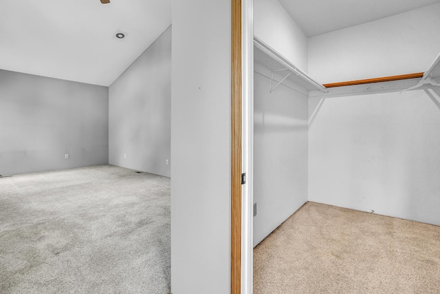 186 Goldsmith Dr, Clarklake, MI 49234 - walk in closet with carpet