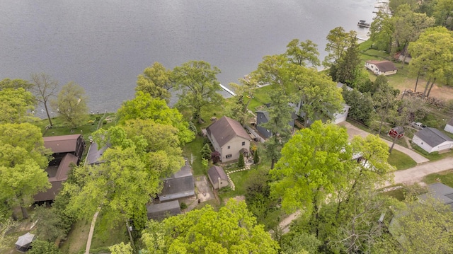 186 Goldsmith Dr, Clarklake, MI 49234 - aerial view of residential area featuring a nearby body of water