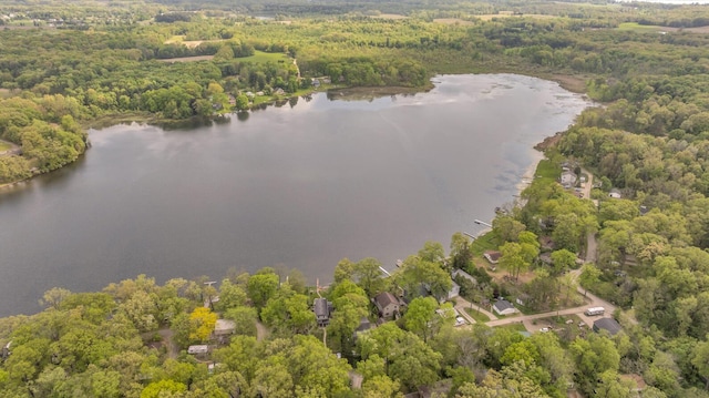 186 Goldsmith Dr, Clarklake, MI 49234 - aerial overview of property's location featuring a nearby body of water and a heavily wooded area