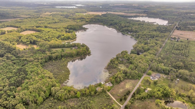 186 Goldsmith Dr, Clarklake, MI 49234 - aerial view of property's location featuring a large body of water and a heavily wooded area
