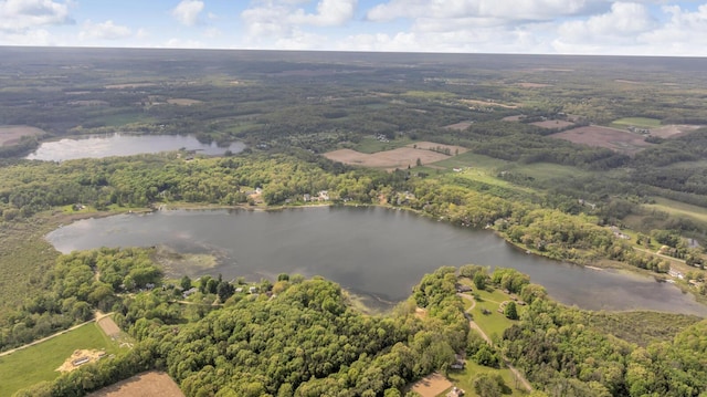 186 Goldsmith Dr, Clarklake, MI 49234 - aerial view of property and surrounding area featuring a large body of water and a heavily wooded area