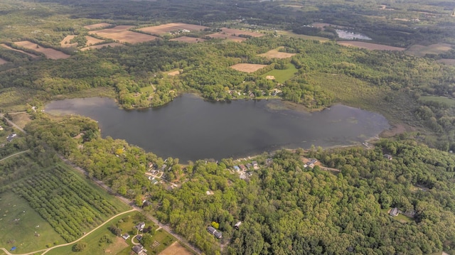 186 Goldsmith Dr, Clarklake, MI 49234 - view of property location featuring a large body of water and a heavily wooded area