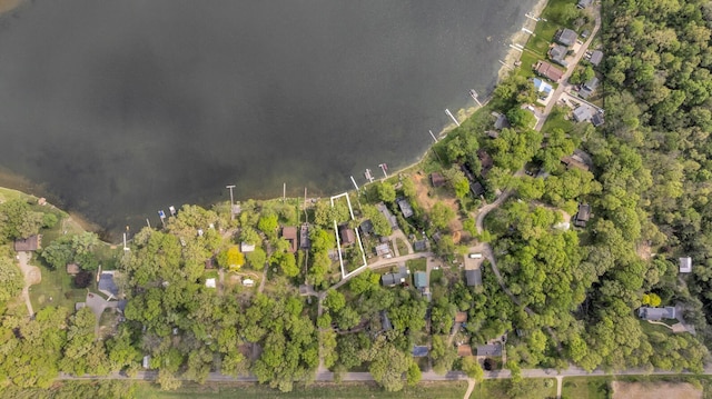 186 Goldsmith Dr, Clarklake, MI 49234 - aerial overview of property's location