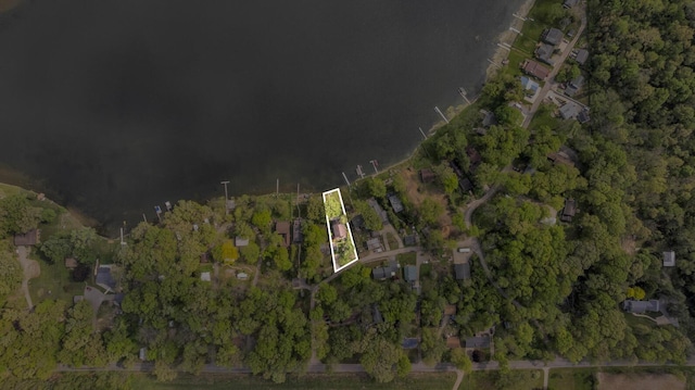 186 Goldsmith Dr, Clarklake, MI 49234 - aerial overview of property's location with property parcel outlined