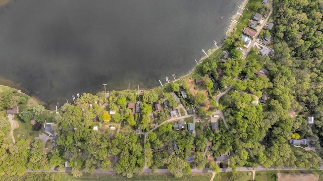 186 Goldsmith Dr, Clarklake, MI 49234 - view of property location