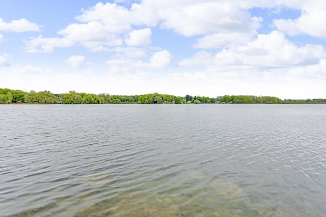 186 Goldsmith Dr, Clarklake, MI 49234 - water view