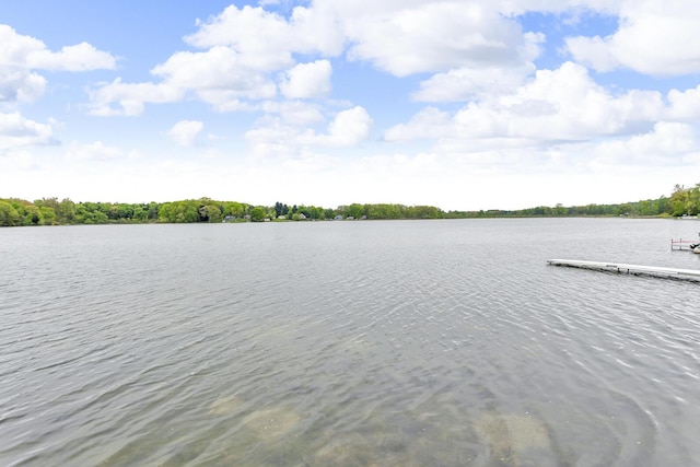 186 Goldsmith Dr, Clarklake, MI 49234 - water view featuring a boat dock