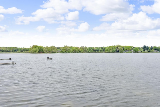 186 Goldsmith Dr, Clarklake, MI 49234 - water view