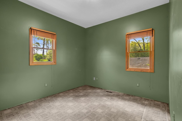 186 Goldsmith Dr, Clarklake, MI 49234 - spare room featuring carpet flooring