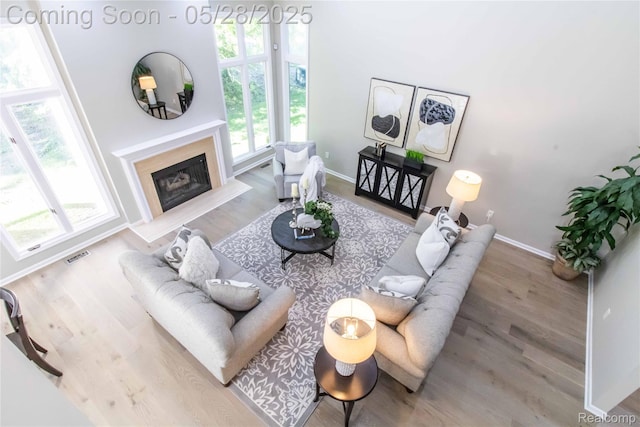 22170 Orchard Way, Beverly Hills, MI 48025 - living area with baseboards, wood finished floors, and a premium fireplace