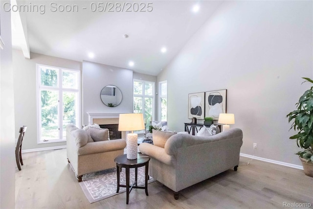 22170 Orchard Way, Beverly Hills, MI 48025 - living area with healthy amount of natural light, baseboards, light wood-style floors, a fireplace, and recessed lighting