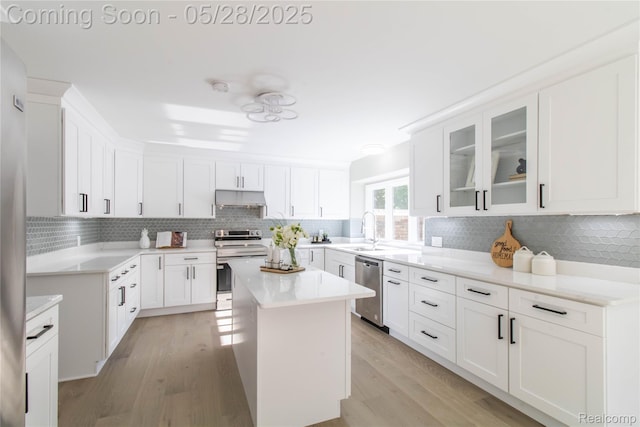 22170 Orchard Way, Beverly Hills, MI 48025 - kitchen with under cabinet range hood, stainless steel appliances, a sink, light wood-style flooring, and backsplash