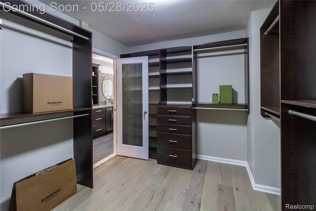22170 Orchard Way, Beverly Hills, MI 48025 - spacious closet featuring light wood-type flooring and french doors