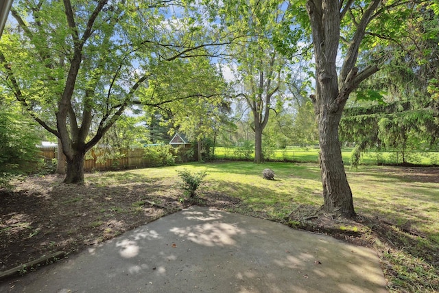 1008 Park St, Tecumseh, MI 49286 - view of yard with a patio area