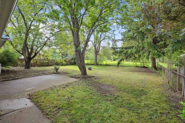 1008 Park St, Tecumseh, MI 49286 - view of yard featuring a patio