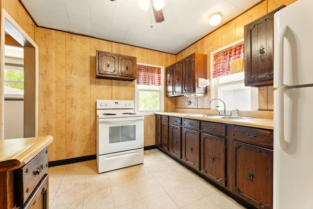 1410 12th St, Port Huron, MI 48060 - kitchen featuring white appliances, a sink, plenty of natural light, ceiling fan, and wooden walls