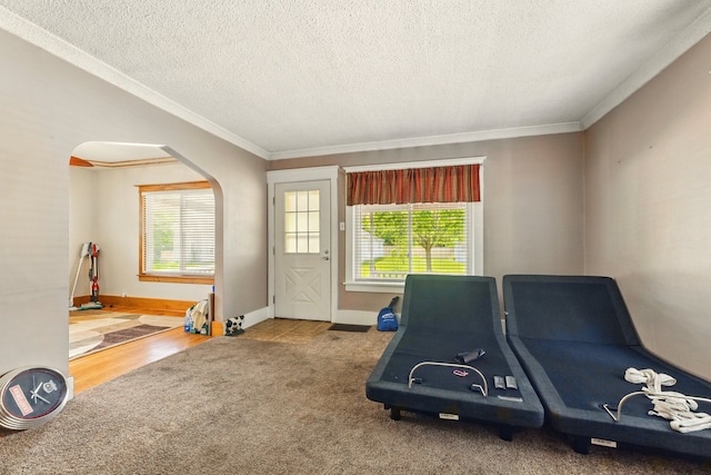 1410 12th St, Port Huron, MI 48060 - workout area featuring arched walkways, healthy amount of natural light, carpet, ornamental molding, and a textured ceiling