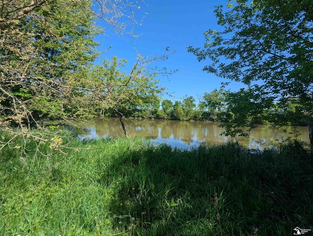 000 Dixon Rd, Monroe, MI 48161 - photo 4