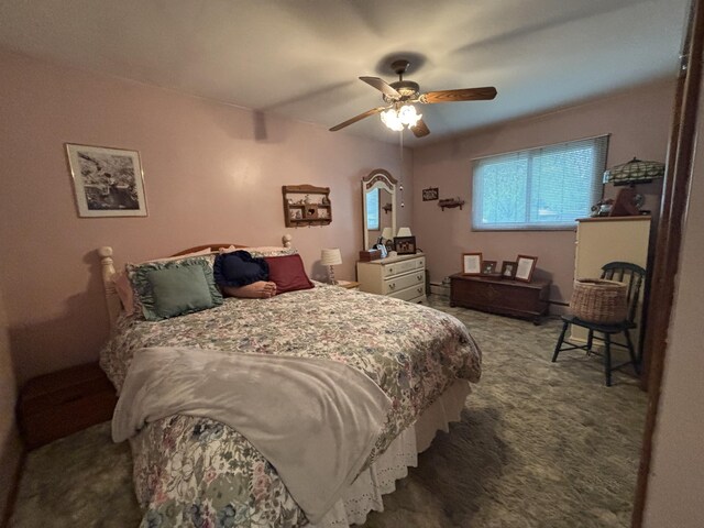300 Maplecrest Ave, Sturgis, MI 49091 - bedroom featuring carpet and a ceiling fan