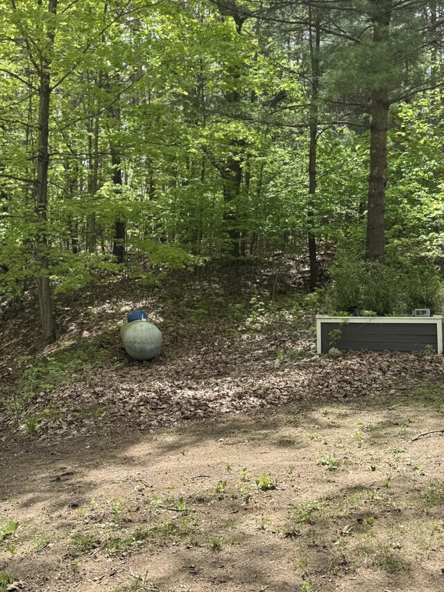 5471 E Free Soil Rd, Michigan, MI 49411 - photo 35