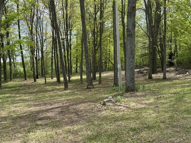 5471 E Free Soil Rd, Michigan, MI 49411 - photo 41