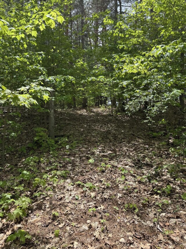 5471 E Free Soil Rd, Michigan, MI 49411 - photo 32