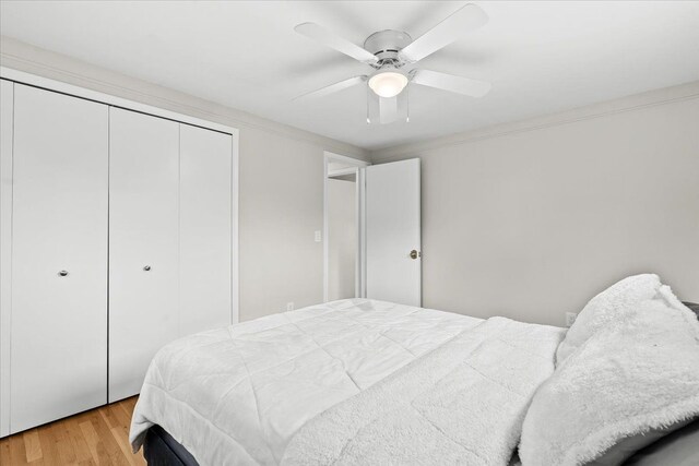 6557 N Twindale, Shelby Twp, MI 48316 - bedroom with light wood finished floors, a closet, and ceiling fan