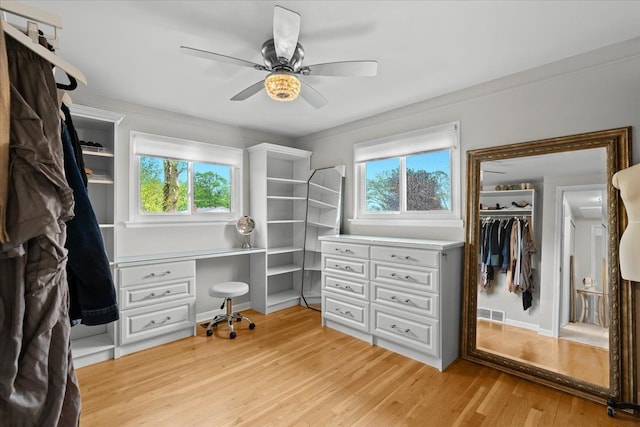 6557 N Twindale, Shelby Twp, MI 48316 - walk in closet with light wood finished floors, ceiling fan, and built in study area