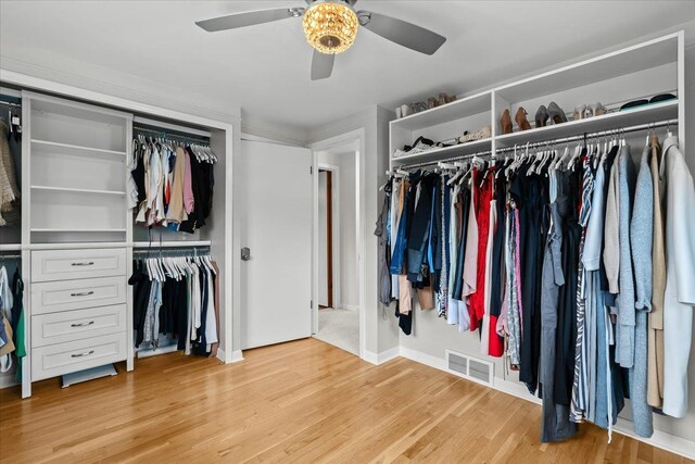 6557 N Twindale, Shelby Twp, MI 48316 - walk in closet with ceiling fan and light wood-type flooring