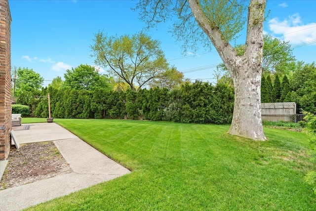 6557 N Twindale, Shelby Twp, MI 48316 - view of yard