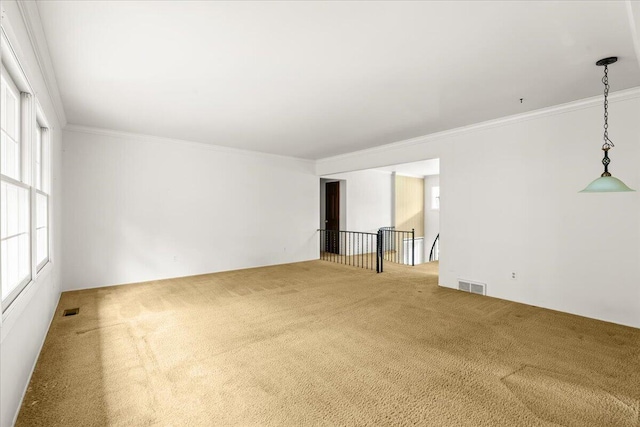 20196 E Whipple Dr, Northville, MI 48167 - photo 9