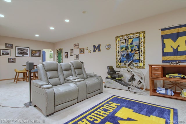 12161 Ladd Rd, Brooklyn, MI 49230 - carpeted home theater featuring recessed lighting and baseboards