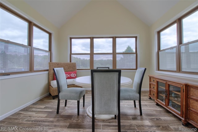 12161 Ladd Rd, Brooklyn, MI 49230 - dining area with dark wood-style floors, vaulted ceiling, and healthy amount of natural light