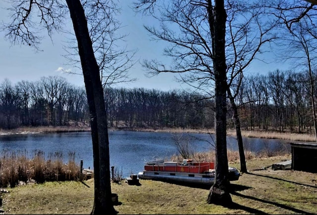 520 N Campbell Rd, Fountain, MI 49410 - water view with a forest
