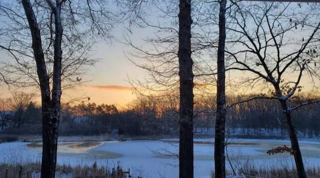 520 N Campbell Rd, Fountain, MI 49410 - water view