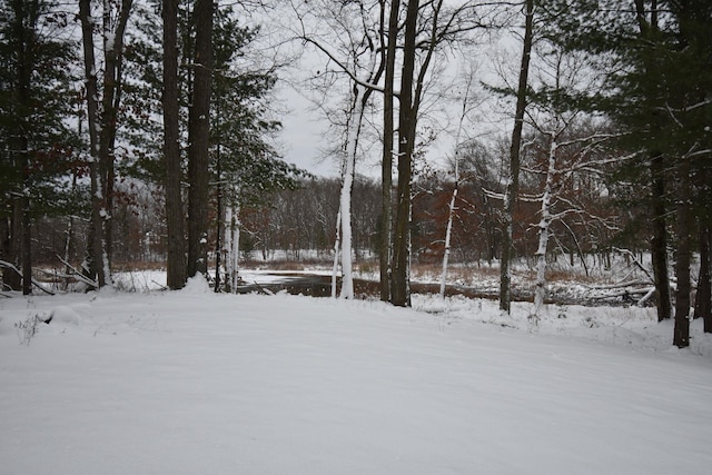 520 N Campbell Rd, Fountain, MI 49410 - view of yard layered in snow