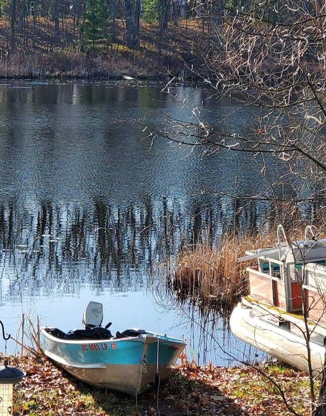 520 N Campbell Rd, Fountain, MI 49410 - water view