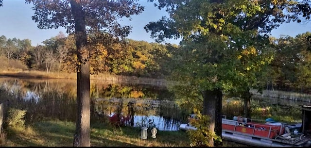 520 N Campbell Rd, Fountain, MI 49410 - water view with a heavily wooded area