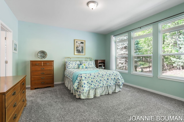94 Cheyenne Ave, Holland, MI 49424 - bedroom with multiple windows, carpet, and baseboards