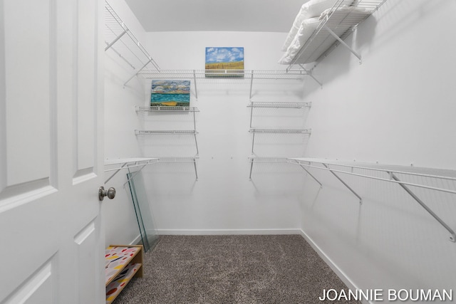 94 Cheyenne Ave, Holland, MI 49424 - spacious closet featuring carpet flooring