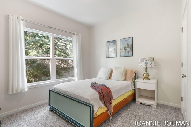 94 Cheyenne Ave, Holland, MI 49424 - carpeted bedroom featuring baseboards