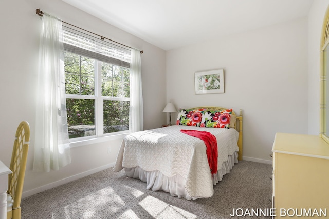 94 Cheyenne Ave, Holland, MI 49424 - carpeted bedroom with baseboards