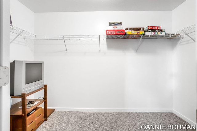 94 Cheyenne Ave, Holland, MI 49424 - spacious closet featuring carpet flooring