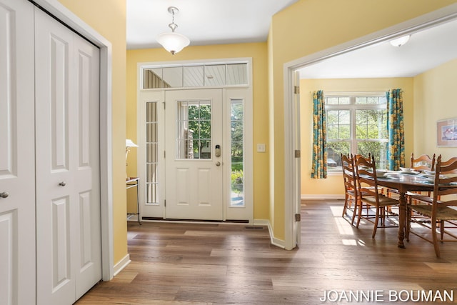 94 Cheyenne Ave, Holland, MI 49424 - entryway with plenty of natural light, hardwood / wood-style flooring, and baseboards