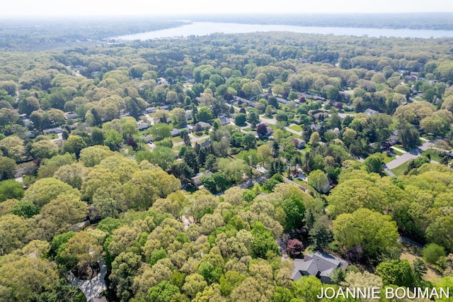 94 Cheyenne Ave, Holland, MI 49424 - aerial view of a heavily wooded area and a large body of water